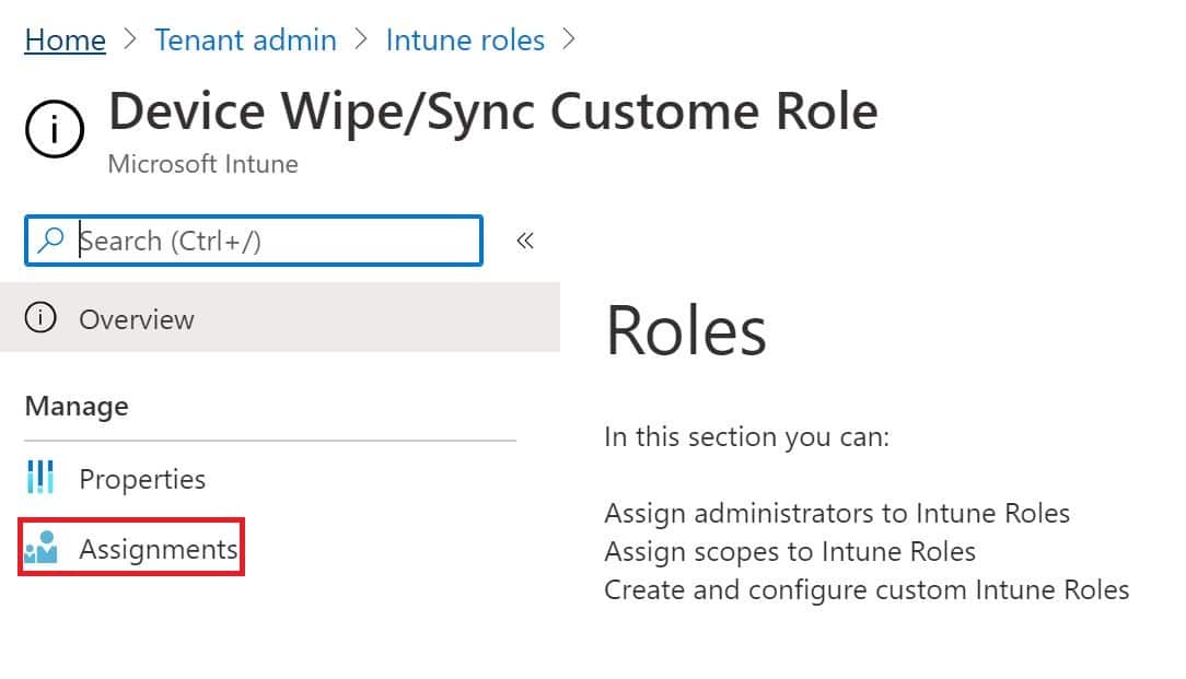 Intune role assignment