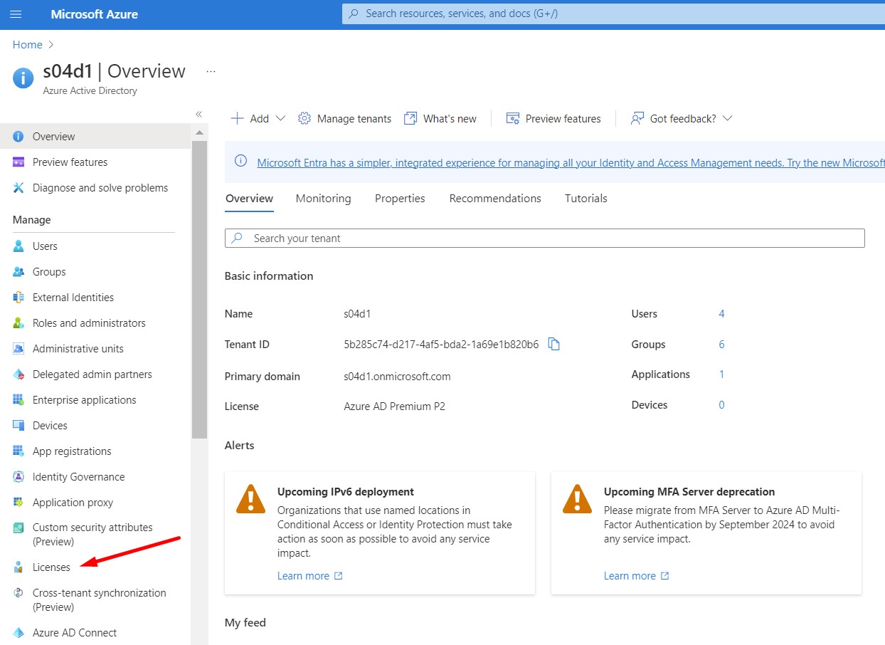 Azure AD Licenses